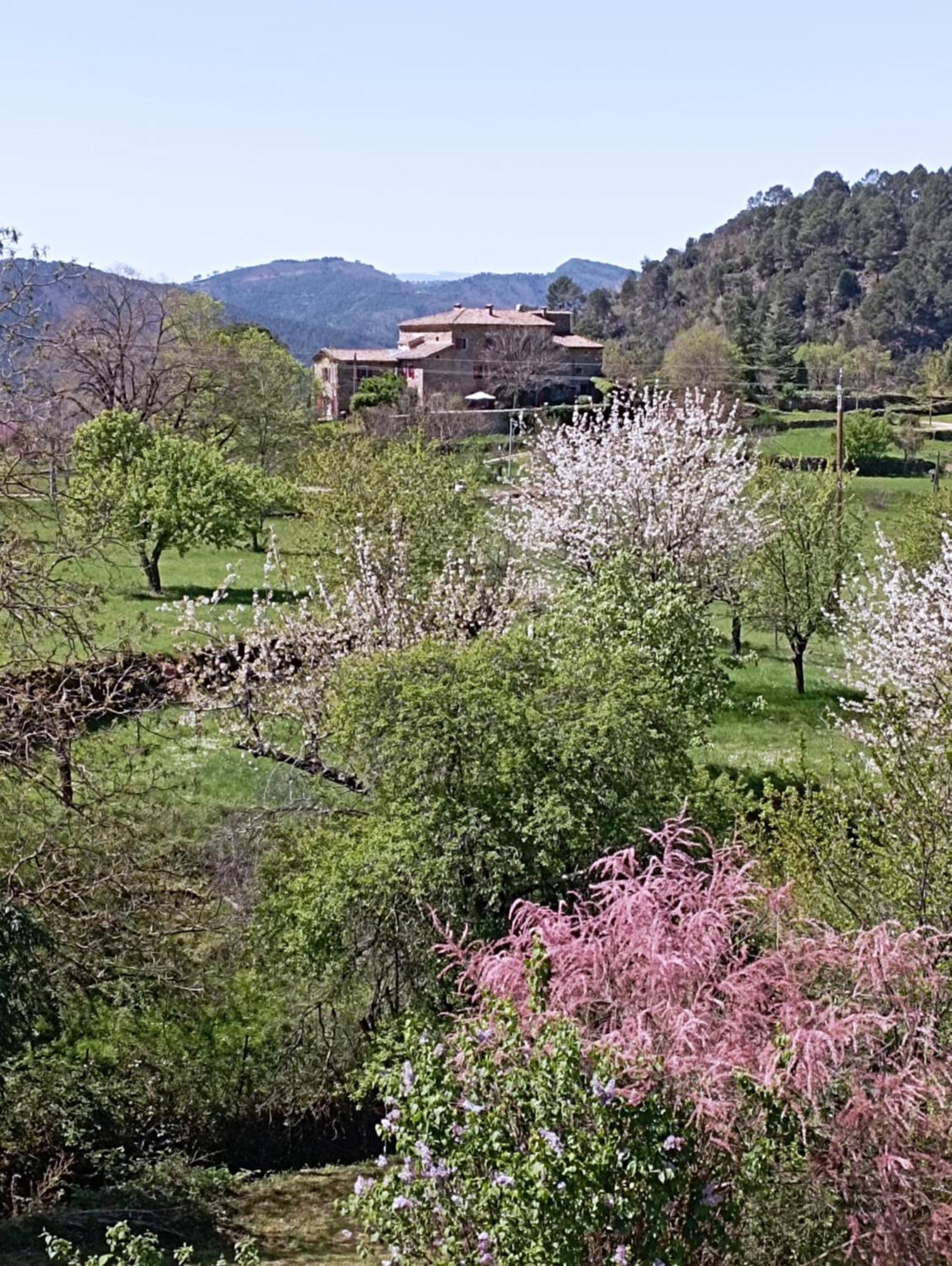Chambre D'Hote Dans Mas Proche Anduze Cevennes Avec Piscine Mialet  Exteriör bild