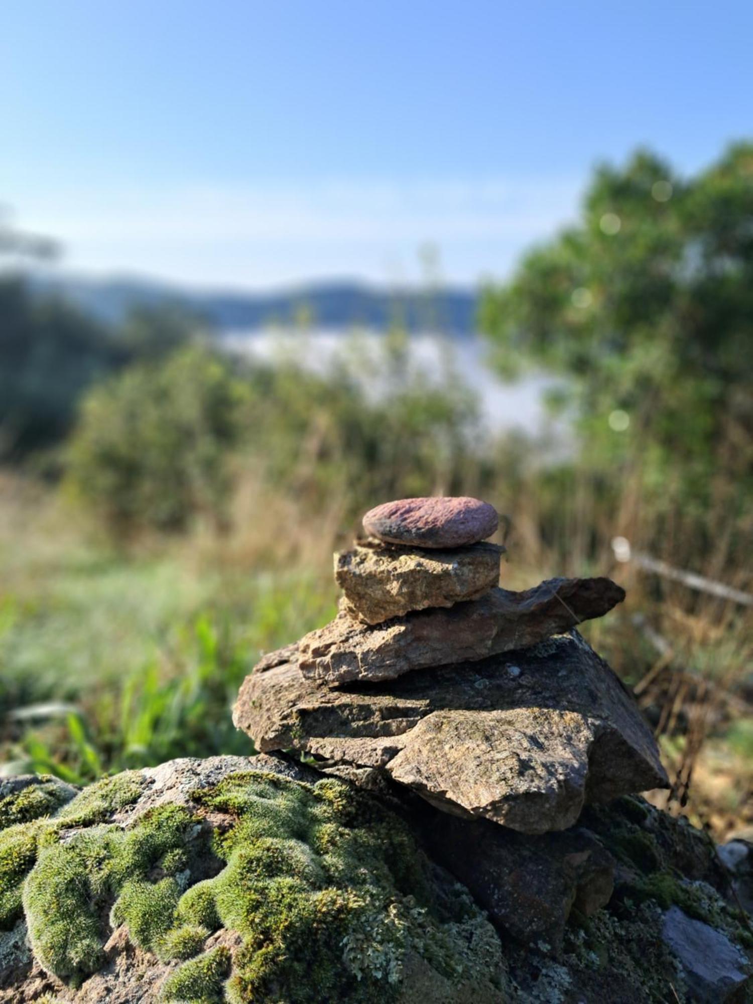 Chambre D'Hote Dans Mas Proche Anduze Cevennes Avec Piscine Mialet  Exteriör bild