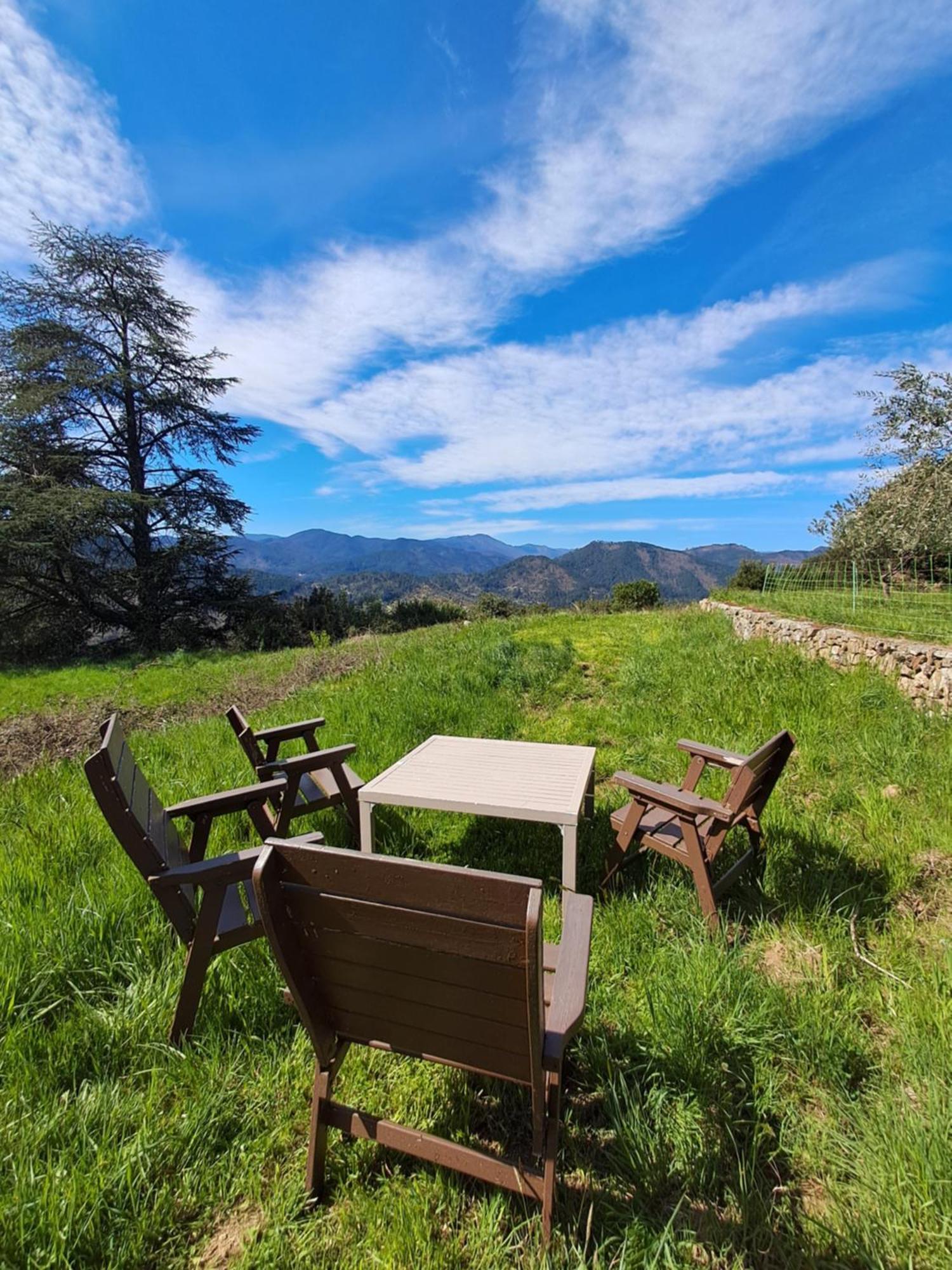 Chambre D'Hote Dans Mas Proche Anduze Cevennes Avec Piscine Mialet  Exteriör bild