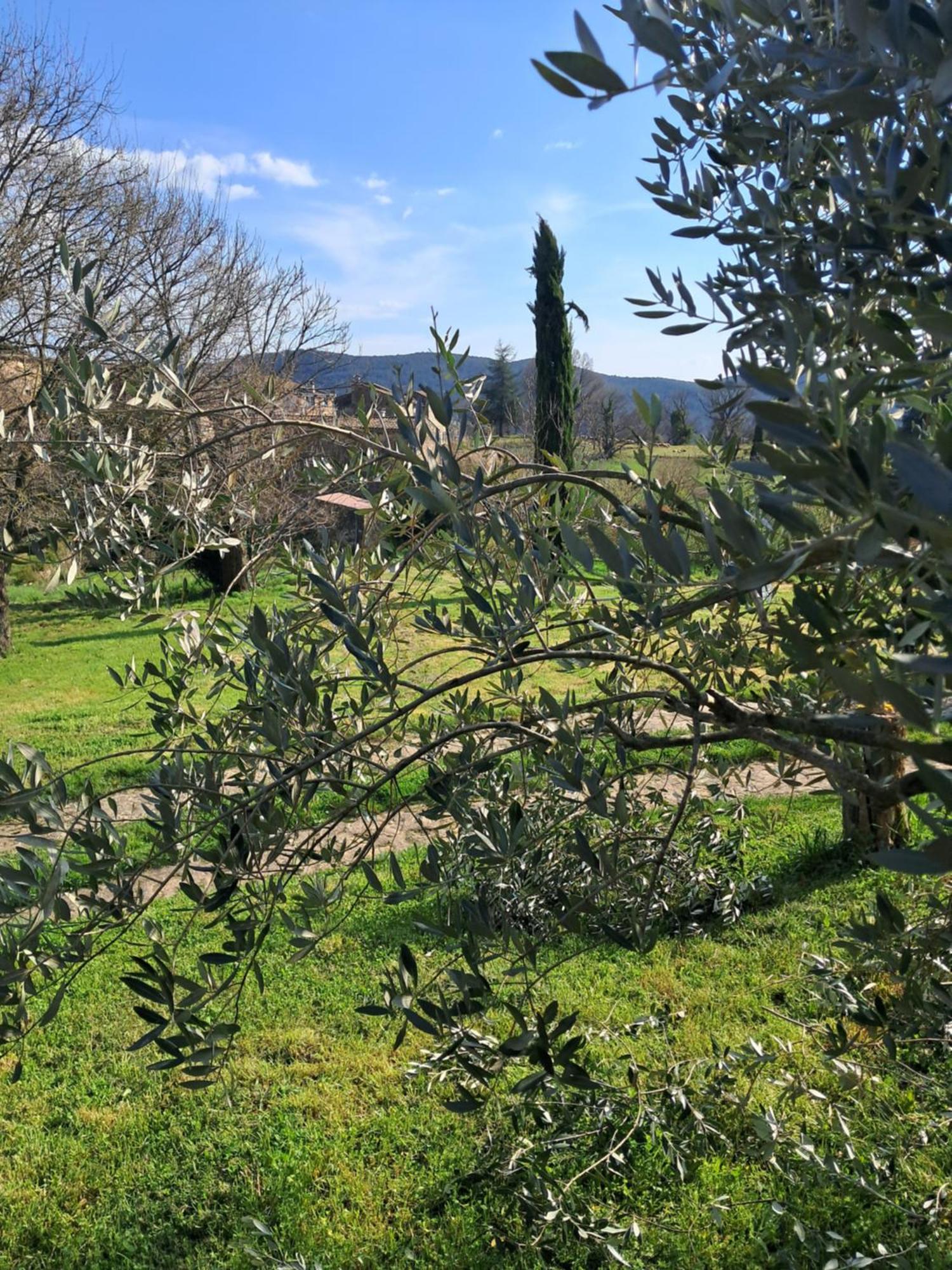 Chambre D'Hote Dans Mas Proche Anduze Cevennes Avec Piscine Mialet  Rum bild