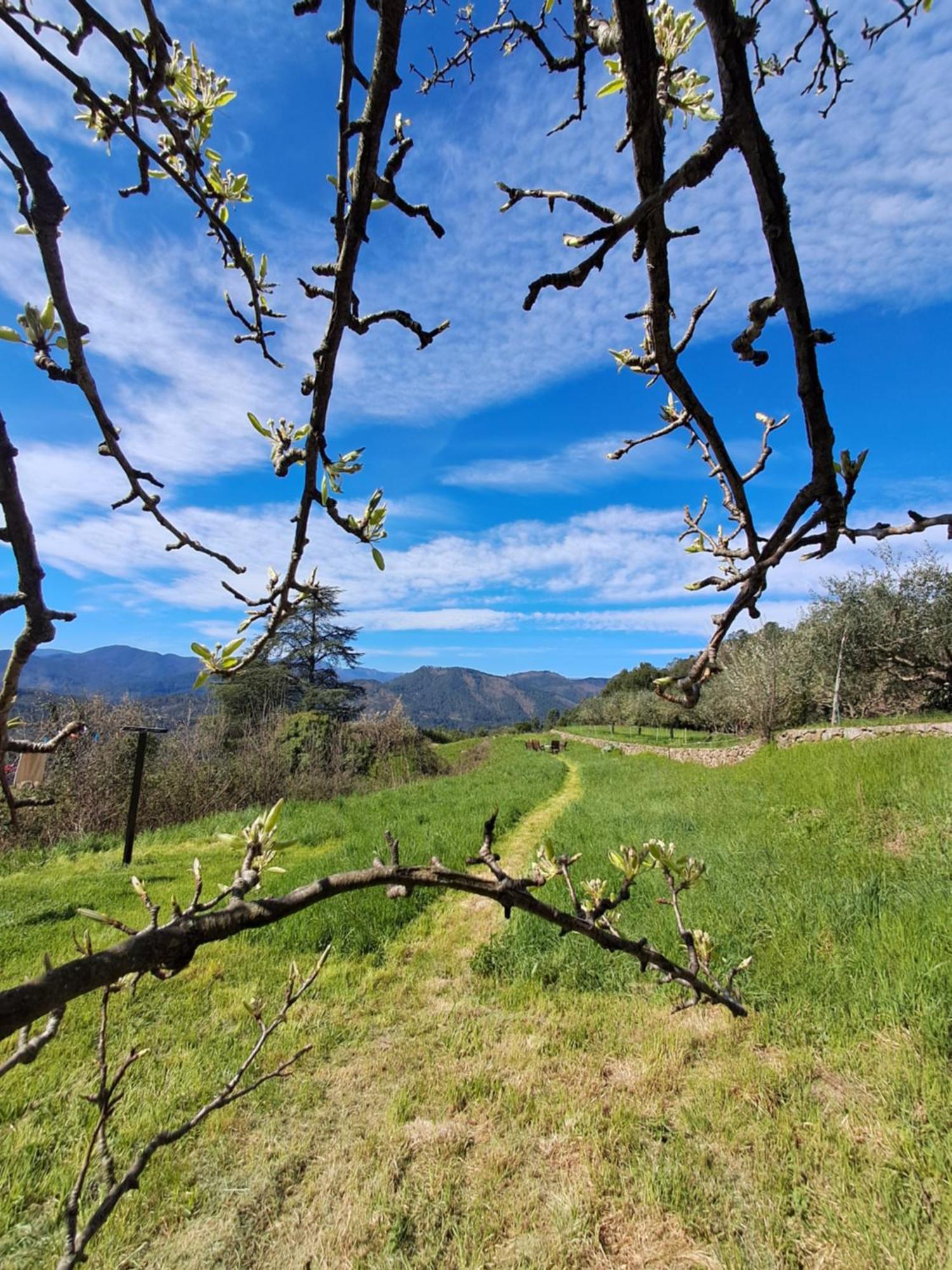 Chambre D'Hote Dans Mas Proche Anduze Cevennes Avec Piscine Mialet  Exteriör bild